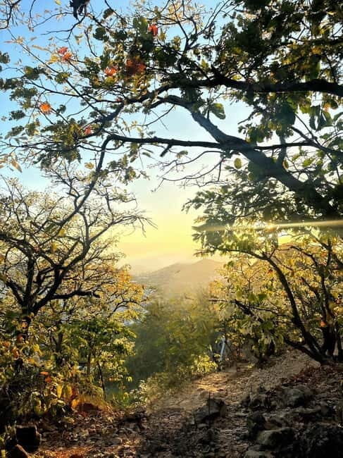 Nha Trang: Mang Den and Kon Tum 7-Day Guided Tour - Exploring the Highlights of the 7-Day Tour