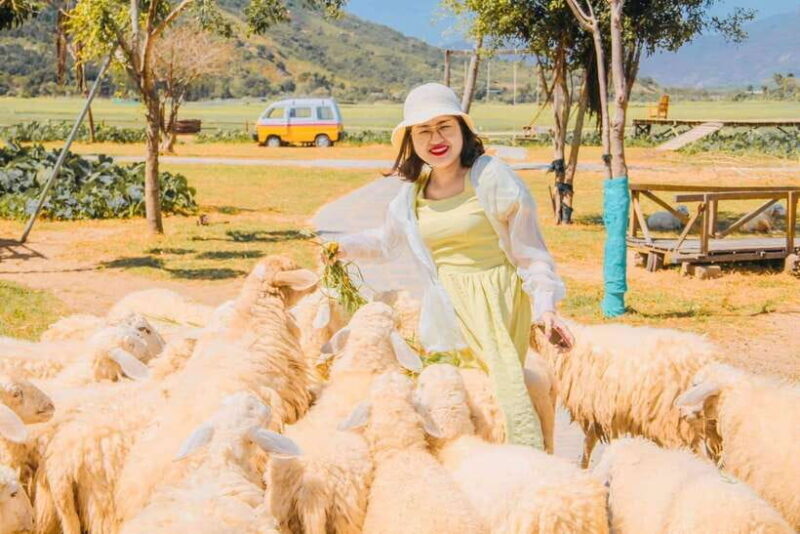 Nha Trang Ninh Thuan: Coral Coast, Grape Gardens, Suoi Tien - FAQ