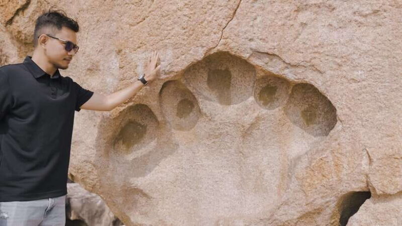 Nha Trang Premium City Tour (half day, small group) - FAQ