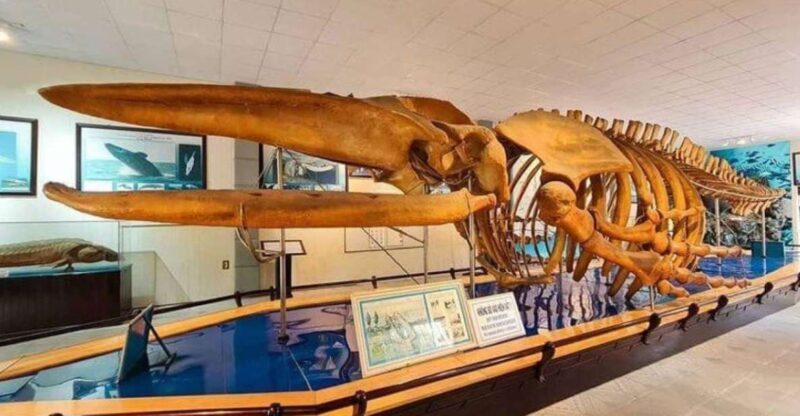 Nha Trang Private Half-Day City Tour - The Sum Up