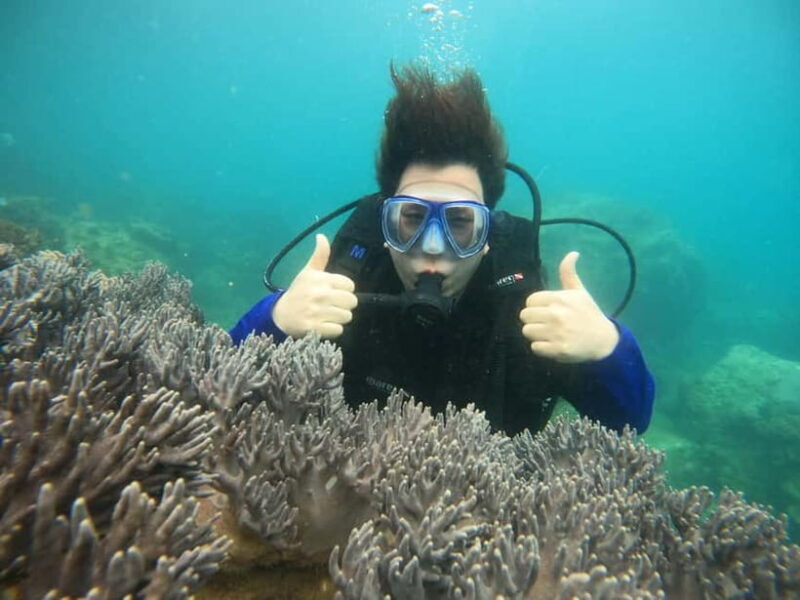 Nha Trang : Scuba diving experience for certified dive - What to Expect From the Nha Trang Certified Diver Experience