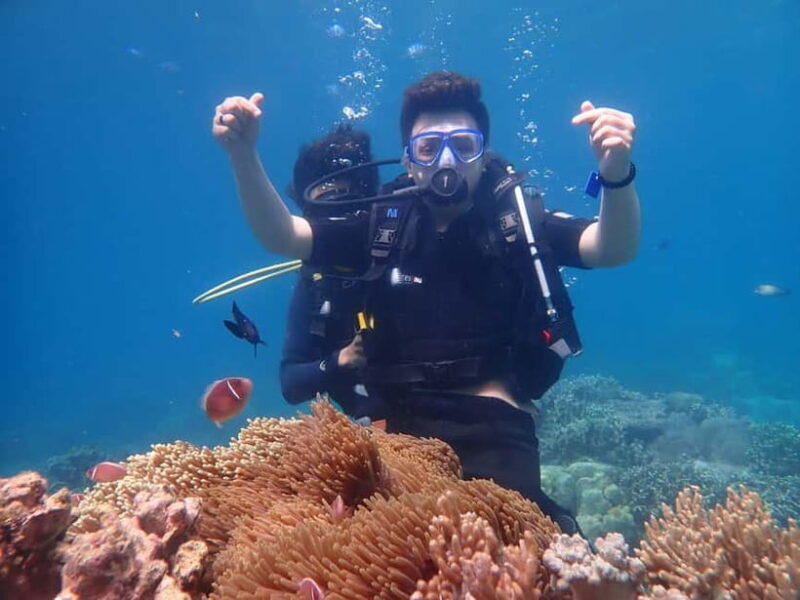 Nha Trang : Scuba diving experience for certified dive - Final Thoughts: Is It Worth It?