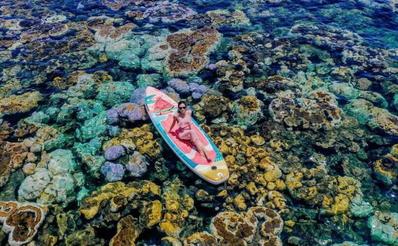 Nha Trang Scuba Diving Tour With Coral Reef & Luxury Lunch - Relaxing in Style at Coral Bay 2