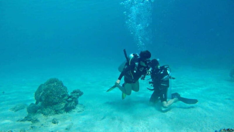 Nha Trang: Scuba Diving Tour with Lunch and Drinks - Free Time for Snorkeling and Swimming