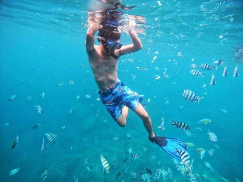 Nha Trang: Snorkeling, BBQ, Mud Bath and Resort Tour - FAQs