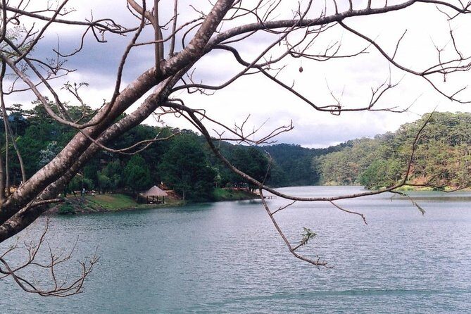 Nha Trang to Da Lat - Private Transfer - A Closer Look at the Journey from Nha Trang to Da Lat