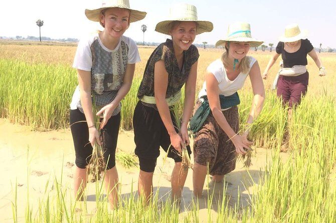 NhumBai, The Village Experience - NhumBai, The Village Experience: An Authentic Look into Rural Cambodia