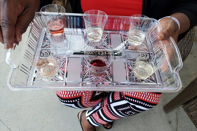 Niagara All American All inclusive Boutique Wine Tour - Introduction: Discover Niagara’s Hidden Vineyards with a Private Touch