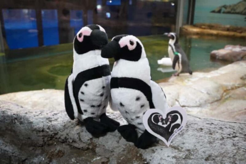 Niagara: Aquarium of Niagara General Admission - Practical Tips for Visiting