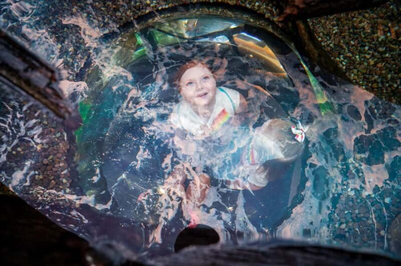 Niagara: Aquarium of Niagara General Admission - Who Should Consider This Tour?