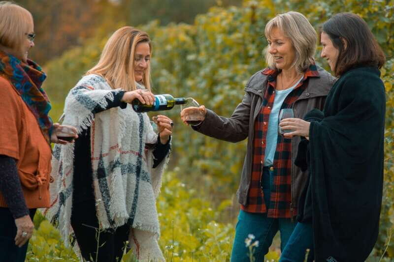 Niagara, Canada: Half-Day Winery Tour with Tastings - Niagara, Canada: Half-Day Winery Tour with Tastings – A Practical Look