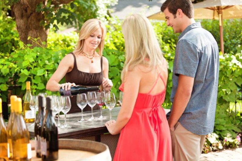 Niagara, Canada: Half-Day Winery Tour with Tastings - The Sum Up
