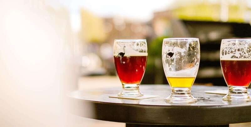 Niagara Craft Brewery Tour Niagara Falls - Key Points