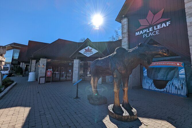 Niagara Falls All inclusive Day Tour From Toronto - Final Thoughts