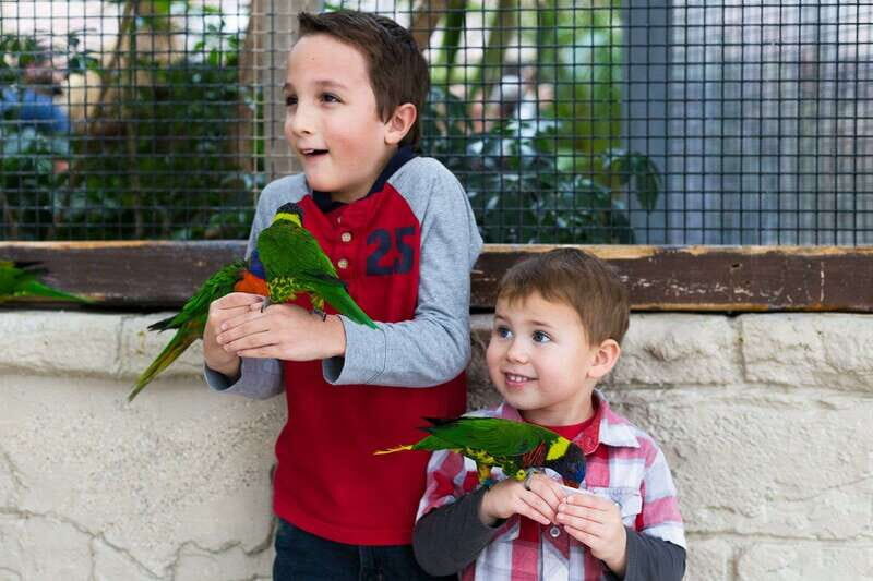 Niagara Falls, Canada: Bird Kingdom Entry Ticket - FAQs