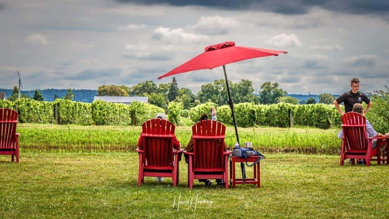 Niagara Falls, Canada: Escarpment Boutique Wine Tour - FAQs