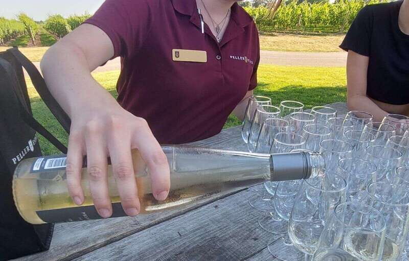 Niagara Falls: Canada with a Portuguese-speaking guide - Frequently Asked Questions