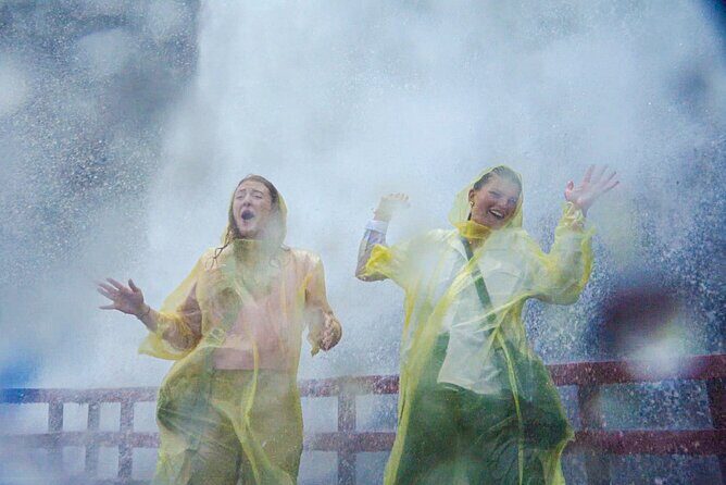 Niagara Falls Day and Night Combo plus Dinner & Fireworks - Who Should Book This Tour?