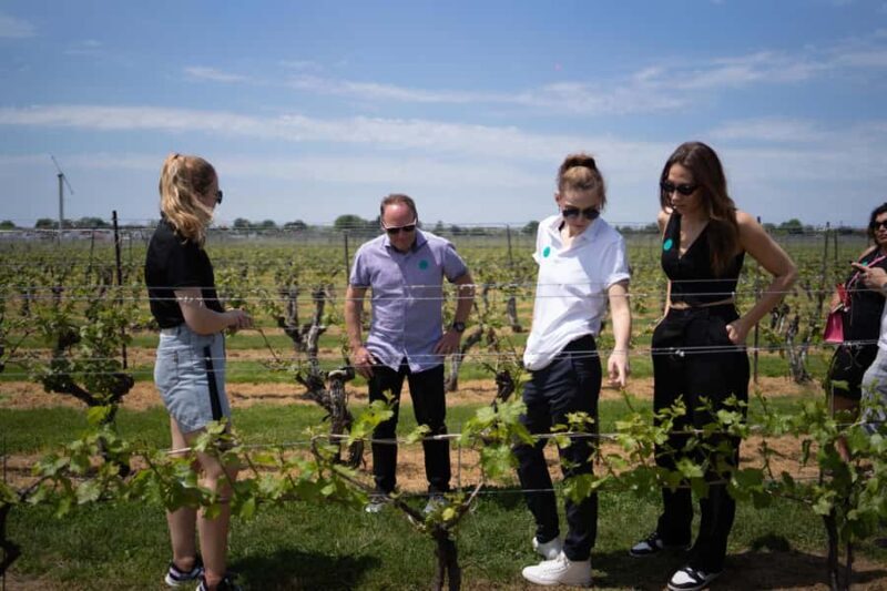Niagara Falls: Guided Winery Tour with Tastings & Pickup - Leisure Time in Niagara-on-the-Lake
