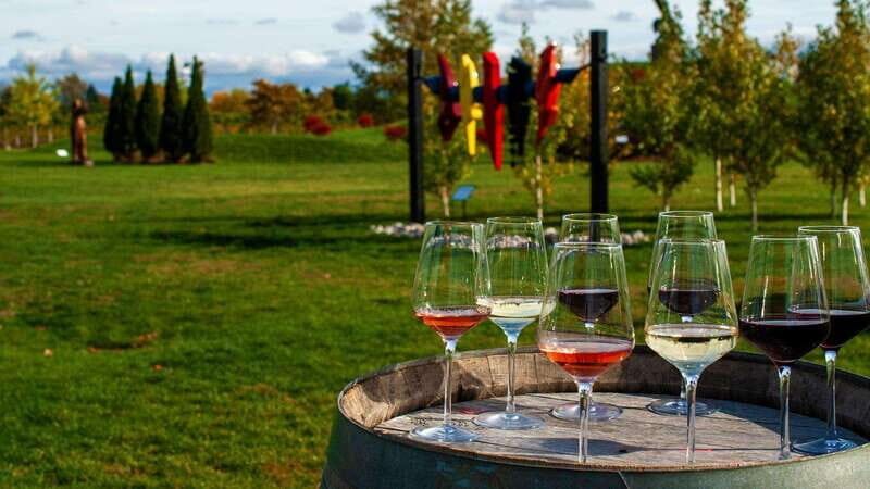 Niagara Falls: Small Group Tour with Wine Tasting and Cruise - Key Points