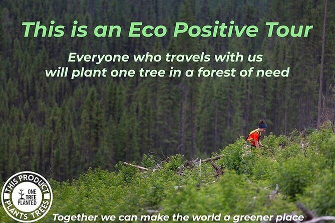 Niagara Falls, Toronto and 1000 Islands, 3 Day Tour from NYC - The Journey Begins: From NYC to Watkins Glen and Niagara Falls