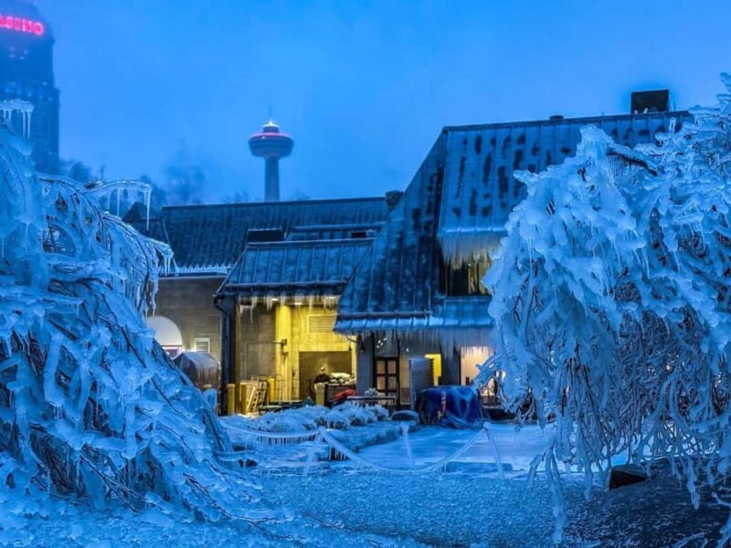 Niagara Falls: Tower, Boat Ride, & Journey Behind the Falls - Who This Tour Is Perfect For