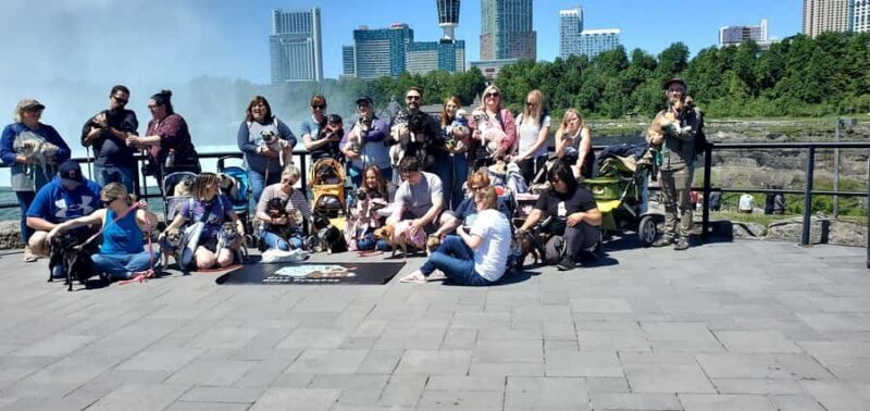 Niagara Falls Winter Wonderland Tour - Key Points