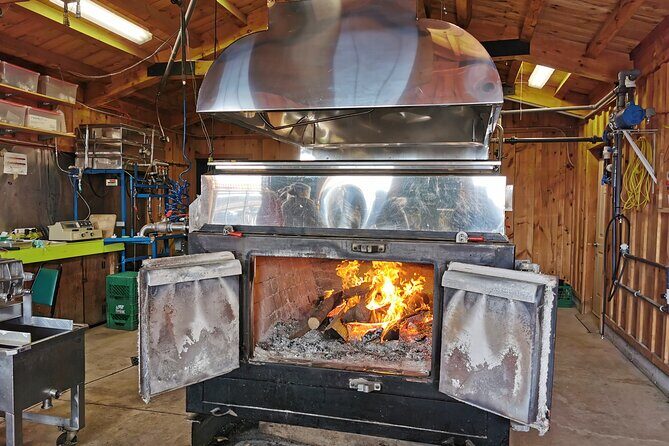 Niagara Falls with Maple & Wine from Toronto. Local Experience - Who Will Enjoy This Tour?