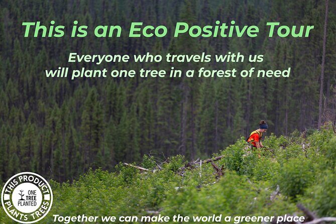 Niagara Falls with Outlet Shopping, 2-Day Tour from NYC - Key Points