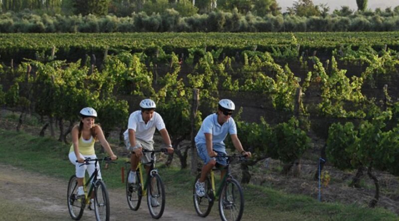 Niagara-on-the-Lake: Bicycle Tour with Wine Tasting - Frequently Asked Questions