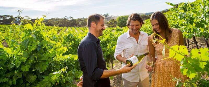 Niagara-on-the-Lake: Sunset Wine Tour with Dinner - Key Points