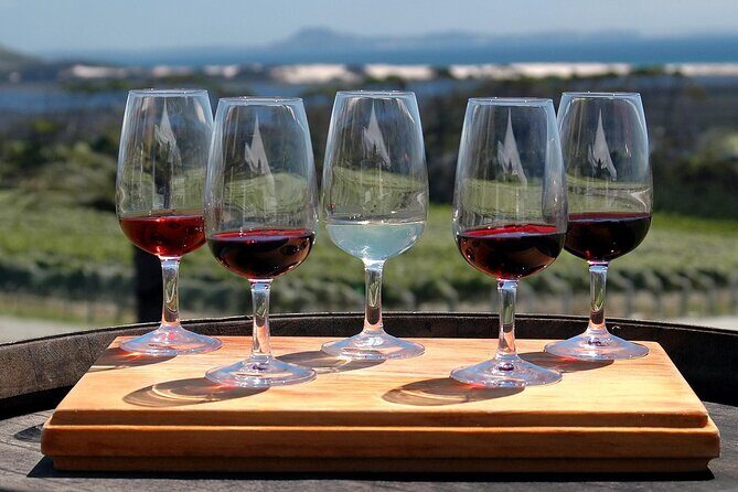 Niagara Wine Trail Tour - Key Points