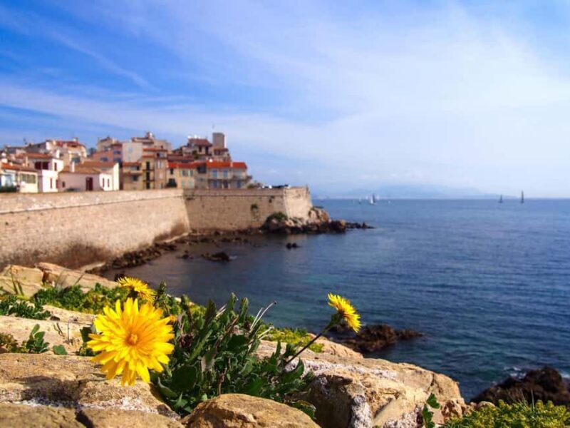 Nice: Antibes, Cannes & Saint-Paul-de-Vence Private Tour - Exploring the French Riviera in Style and Substance