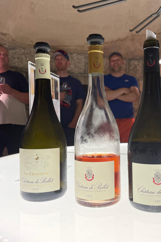 Nice: Bellet Vineyards E-Bike Tour with Wine Tasting - Exploring Nice’s Vineyards on E-Bikes: A Guide to the Bellet Wine Tour