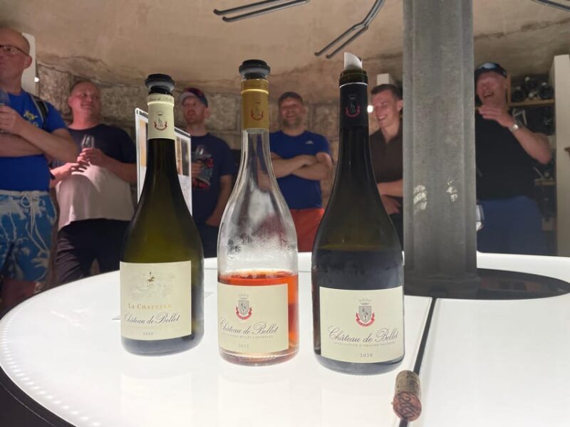 Nice: Bellet Vineyards E-Bike Tour with Wine Tasting - Practical Details & Considerations