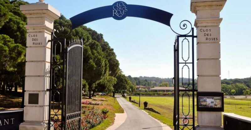 Nice: Clos des Roses wine tasting and lunch - Nice: Clos des Roses Wine Tasting and Lunch — A Deep Dive into Provence’s Flavors