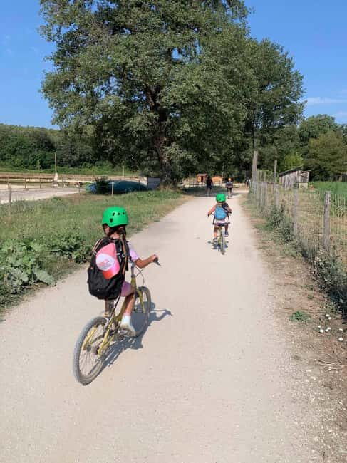 Nice: Discovery tree climbing for children in a natural setting - Exploring the Natural Adventure in the South of France