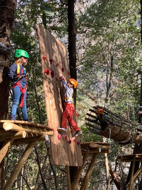 Nice: Discovery tree climbing for children in a natural setting - What’s Included and What to Bring