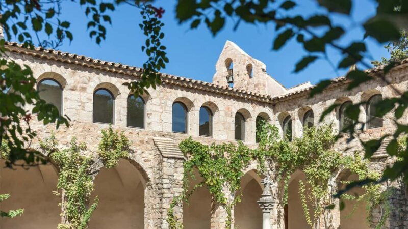 Nice: Full Day Trip Private Wine Tour (Cremat and more) - An In-Depth Look at the Experience
