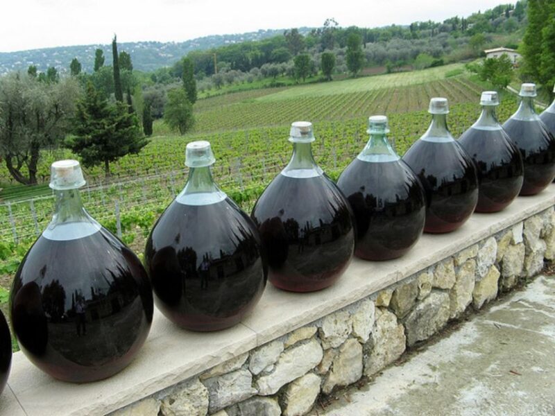 Nice: Half-Day Saint Paul de Vence and Wine Tasting Tour - An In-Depth Look at the Tour Experience