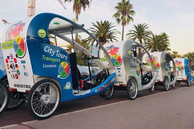 Nice: private guided Tour by electric taxi bike - Who Should Consider This Tour?