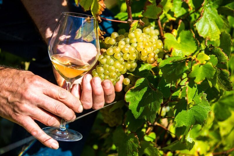 Nice: Provence Village Tour with Wine and Produce Tasting - Key Points