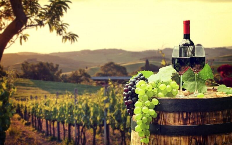 Nice: Provence Village Tour with Wine and Produce Tasting - A Detailed Look at the Tour Experience