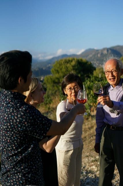 Nice: Vineyard Tour with Wine Tasting - In-Depth Review of the Nice Vineyard Tour with Wine Tasting