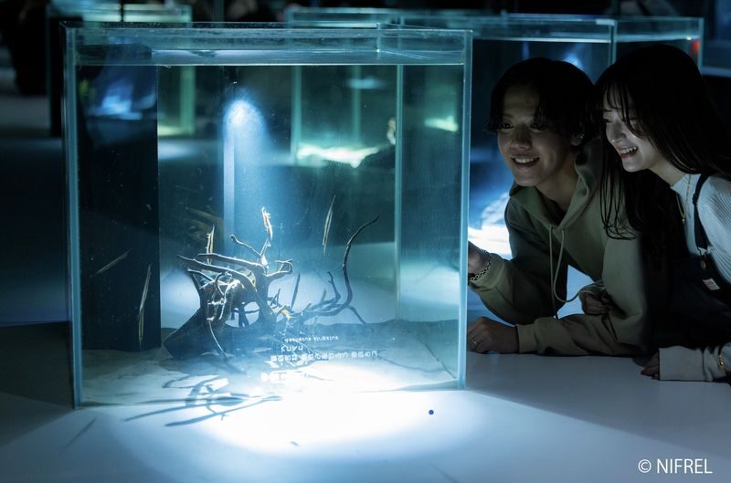 NIFREL Interactive Aquazoo E-Ticket in Osaka - Watch birds and animals move nearby