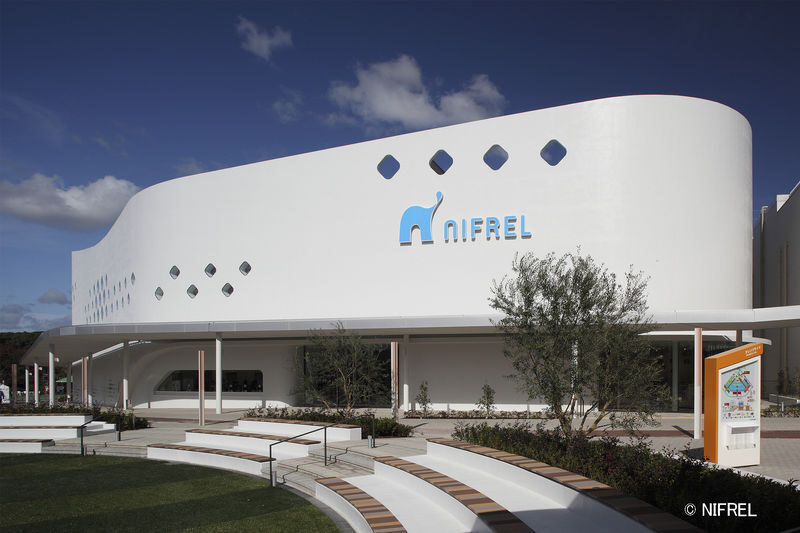 NIFREL Interactive Aquazoo E-Ticket in Osaka - Is the ticket worth about $15.15?