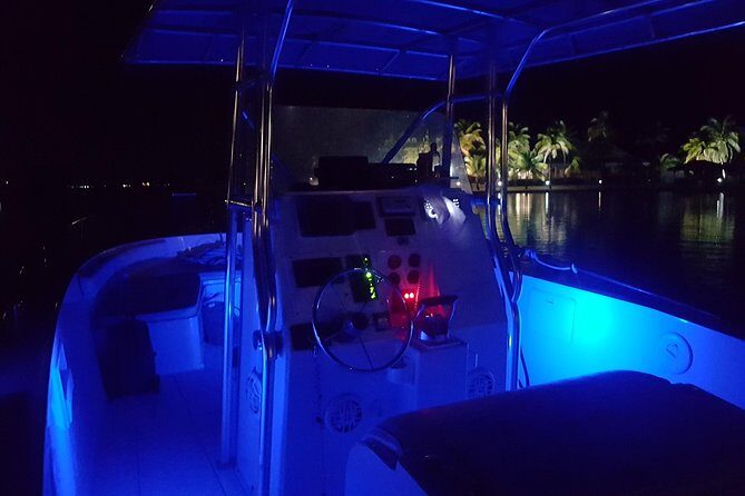 Night Bioluminescence Snorkel Tour - The Itinerary: What to Expect