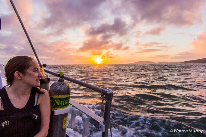 Night Dive Adventure in Oahu - Key Points