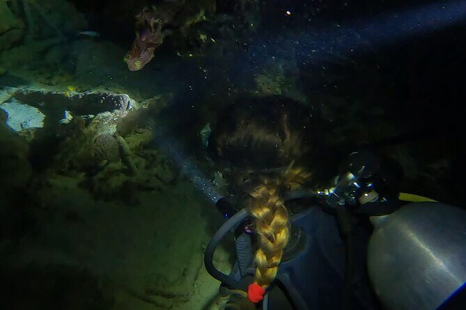 Night dive at Tugboat Beach in Curacao - Authentic Experiences and Traveler Perspectives