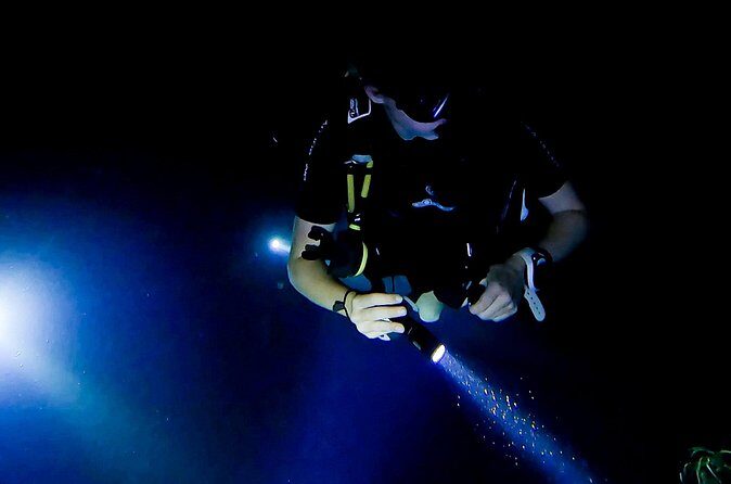 Night dive at Tugboat Beach in Curacao - Practical Tips for the Tour